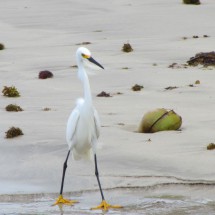 Nice guy on the beach